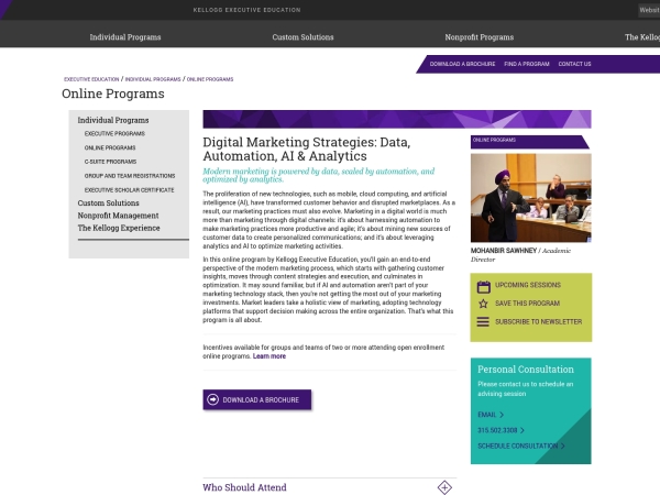 Digital Marketing Strategies screenshot